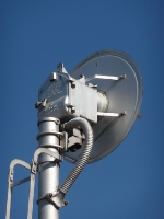 Searchlight Back Head-Shot